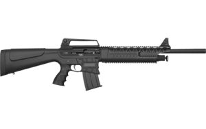 ARM601 BC 1.jpg