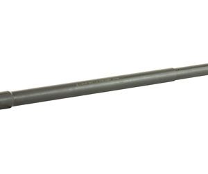 BABL556020M 1.jpg
