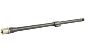 BABL556025F 1.jpg