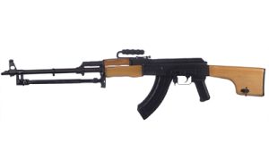 CARI4988 N 1.jpg