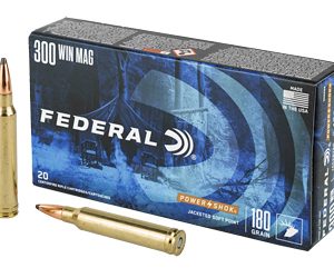 FE300WBS 1.jpg