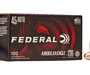FEAE45A100 1.jpg