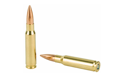 FEGM308M 4.jpg