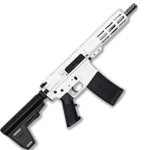 223WYLDE PSTL W/BRC SS 30R WHT