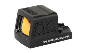 HSEPS CARRY GR 6 1.jpg