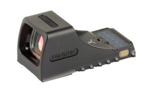 HSSCS P10 GR 1.jpg