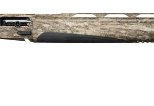 AAP8