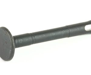KNSPERMA 1.jpg