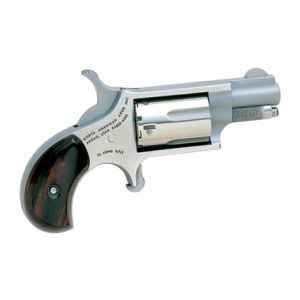 NAA 22LR 1.jpg