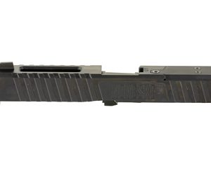 NV03002705 1.jpg