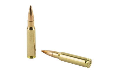 PMC308B 4.jpg