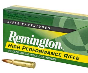 REM21303 1.jpg