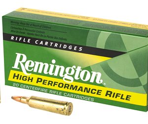REM21311 1.jpg