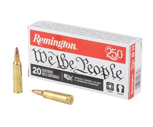 REM21389 1.jpg