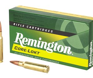 REM21479 1.jpg