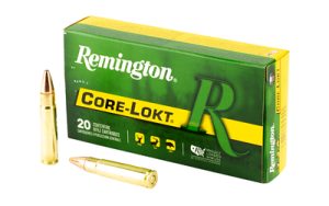 REM21491 1.jpg