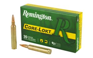 REM27641 1.jpg