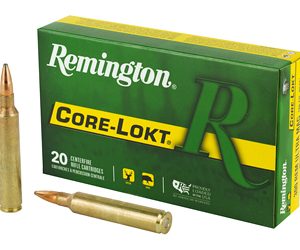REM27641 1.jpg