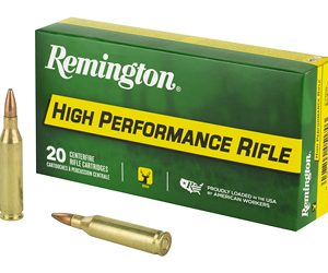REM27800 1.jpg