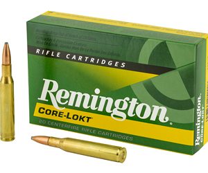 REM27808 1.jpg