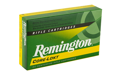 REM27808 2.jpg