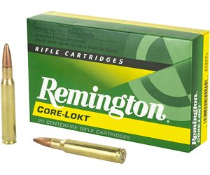 REM27828 1.jpg