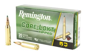 REM29015 1.jpg