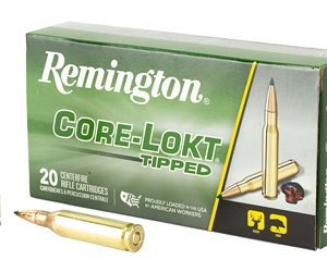 REM29015 1.jpg