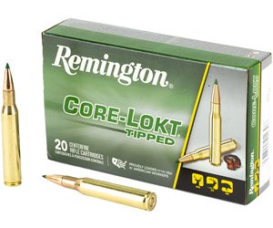 REM29019 1.jpg