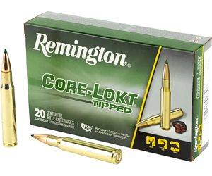 REM29037 1.jpg