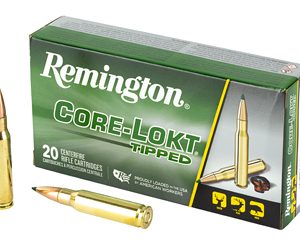 REM29039 1.jpg