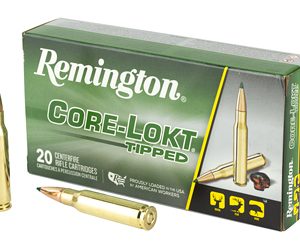 REM29041 1.jpg