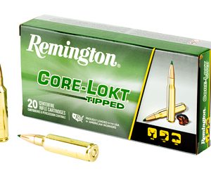 REM29043 1.jpg