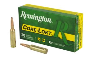 REM29049 1.jpg
