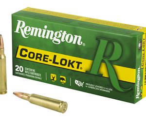 REM29077 1.jpg