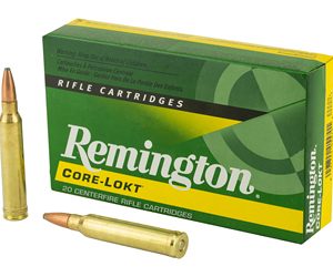 REM29495 1.jpg