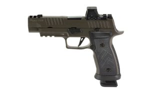 SG320AXGF 9 LEGION RXX 1.jpg