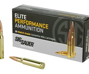 SGE308M1 1.jpg