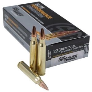 SSE223M120.jpg