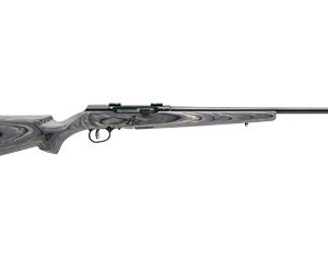 SV47006 1.jpg