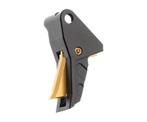 TYTD ECHETRIG BLKGOLD 1.jpg