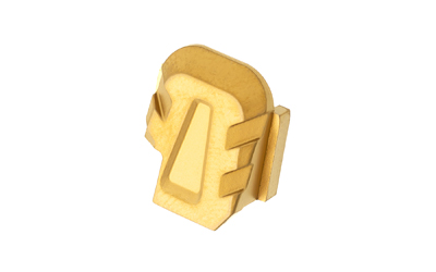 TYTD P365SC GOLD 1.jpg