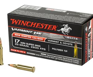 WNS17W25 1.jpg