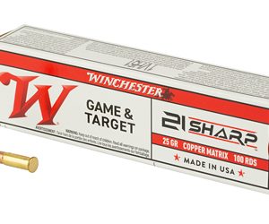 WNS21SLF 1.jpg