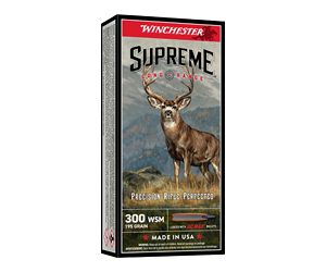 WNS300SBC 1.jpg