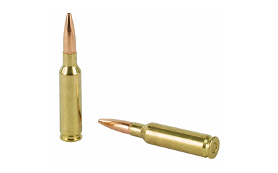 WNUSA65CMVP 4.jpg