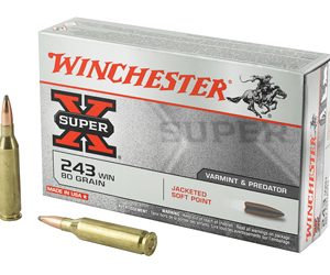 WNX2431 1.jpg