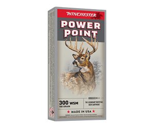 WNX300WSM 1.jpg
