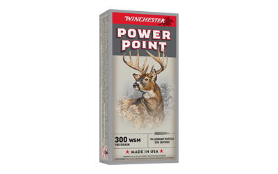 WNX300WSM 1.jpg
