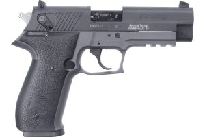 ATA GSG FIRFLY 22LR 10RD GRY